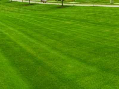 Commercial Lawn Care