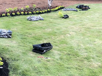 Sod Maintenance, Columbus, GA