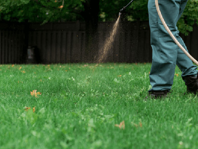 Weed Management